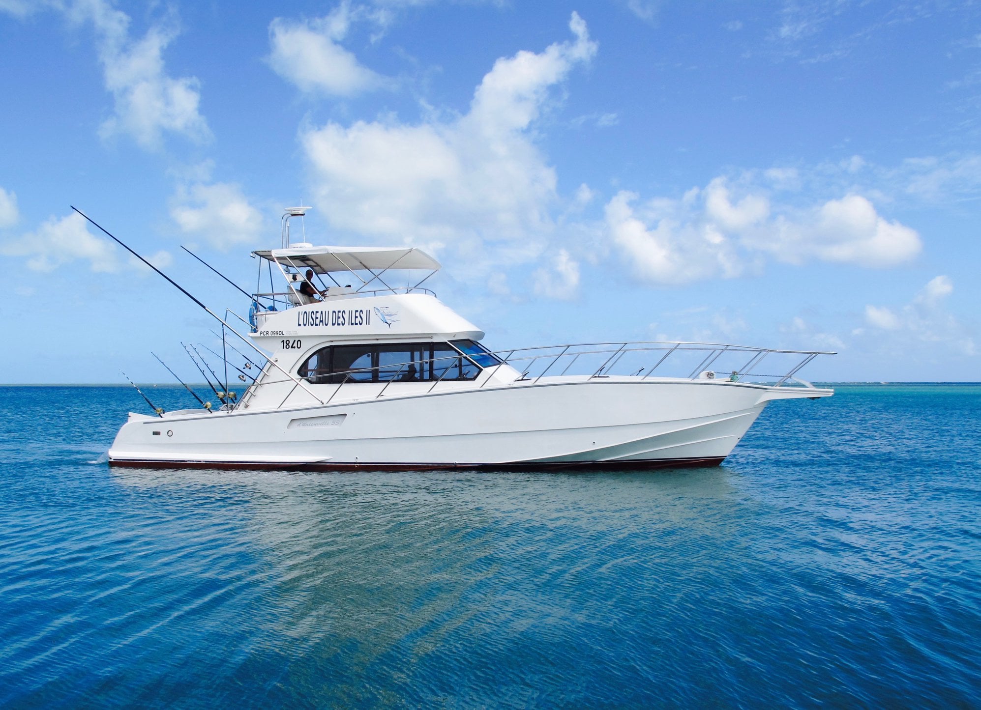 Big Game Fishing - Cyril Faure