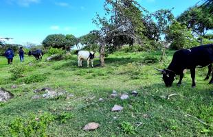 2nd Edition of "Festival de la Randonnée"