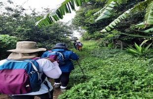 2nd Edition of "Festival de la Randonnée"