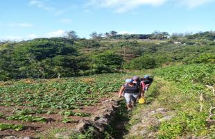 2nd Edition of "Festival de la Randonnée"