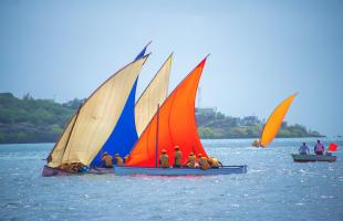 Festival Kreol Rodrig